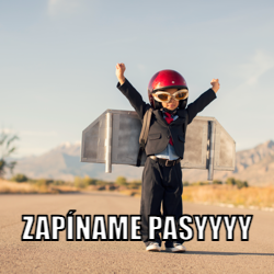 Slippers Jungle Tiger